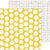 Frosted 12x12 Paper-Crate Paper Hooray
