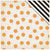 Magic 12x12 Paper-Crate Paper After Dark