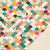 Recollection 12x12 Paper-Crate Paper Open Book