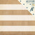 Textures 12x12 Paper-Crate Paper Craft Market